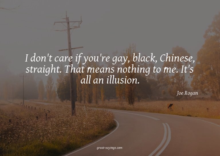 I don't care if you're gay, black, Chinese, straight. T