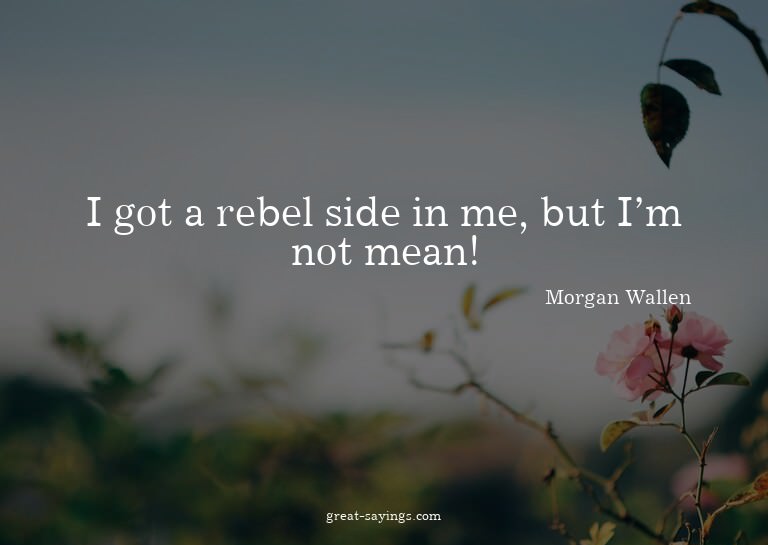 I got a rebel side in me, but I'm not mean!

