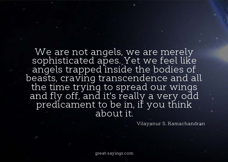 We are not angels, we are merely sophisticated apes. Ye