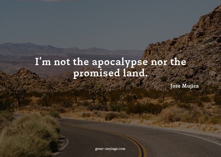 I'm not the apocalypse nor the promised land.

