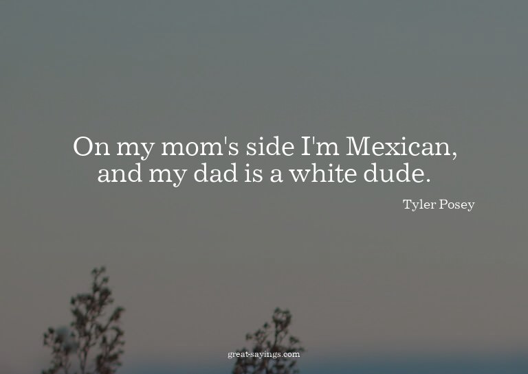 On my mom's side I'm Mexican, and my dad is a white dud