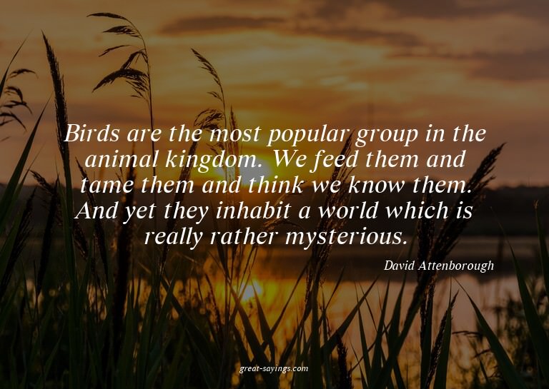 Birds are the most popular group in the animal kingdom.