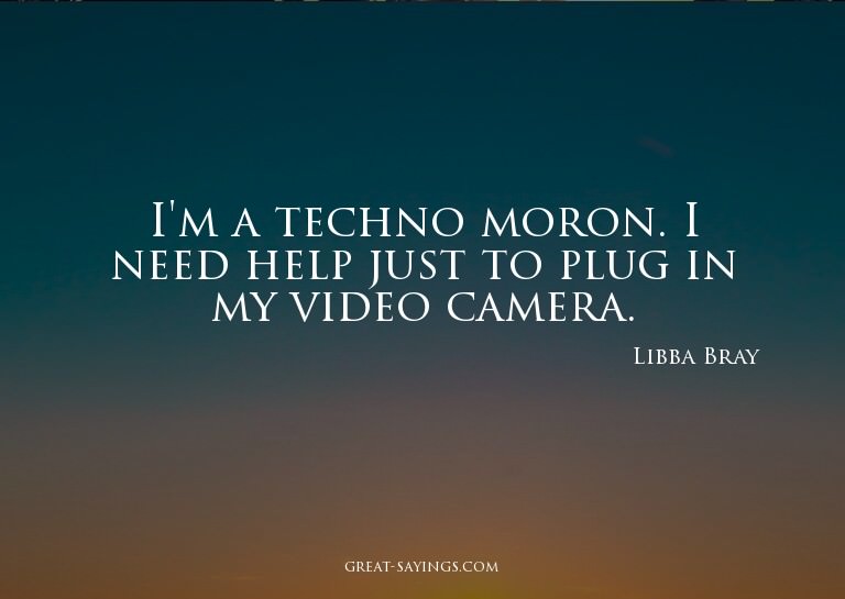 I'm a techno moron. I need help just to plug in my vide