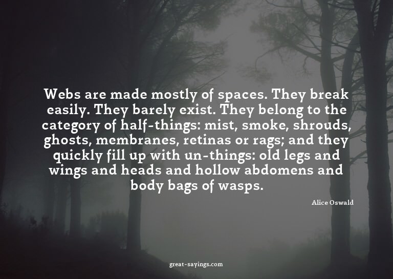 Webs are made mostly of spaces. They break easily. They