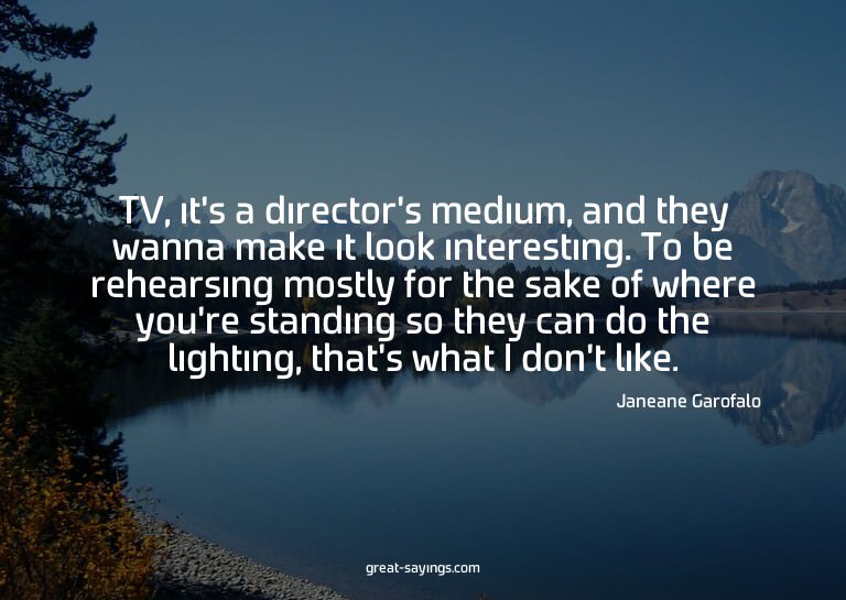TV, it's a director's medium, and they wanna make it lo