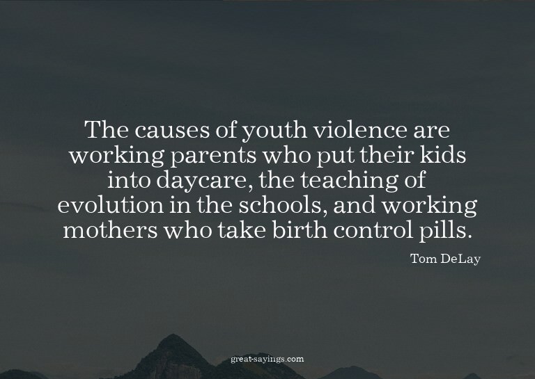 The causes of youth violence are working parents who pu