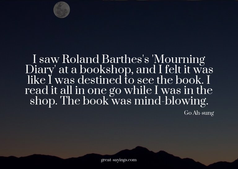 I saw Roland Barthes's 'Mourning Diary' at a bookshop,