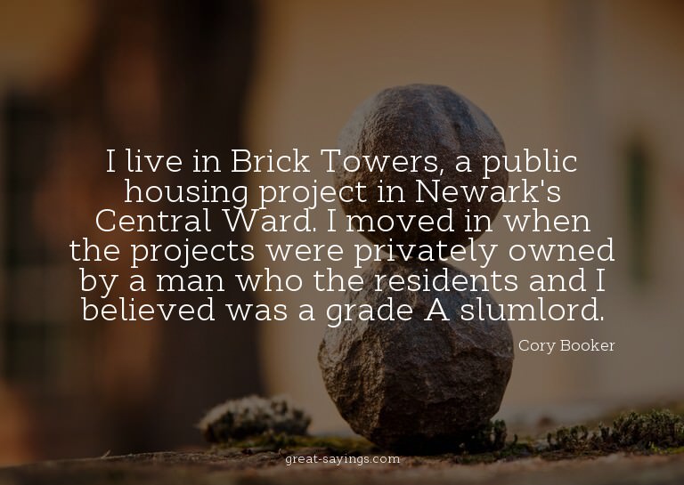 I live in Brick Towers, a public housing project in New