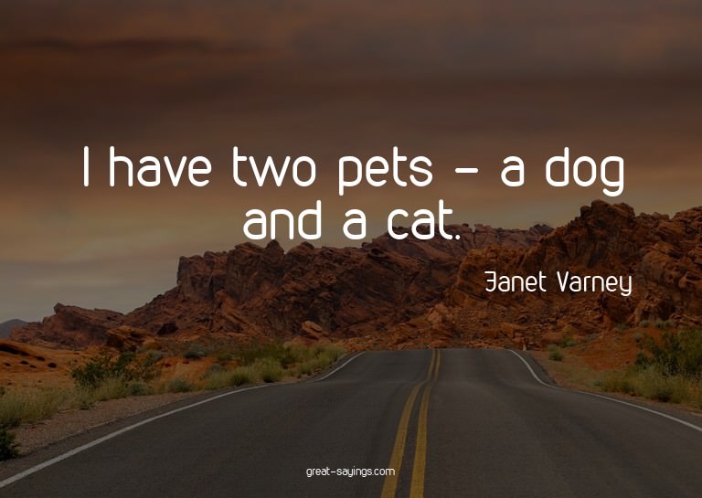 I have two pets - a dog and a cat.


