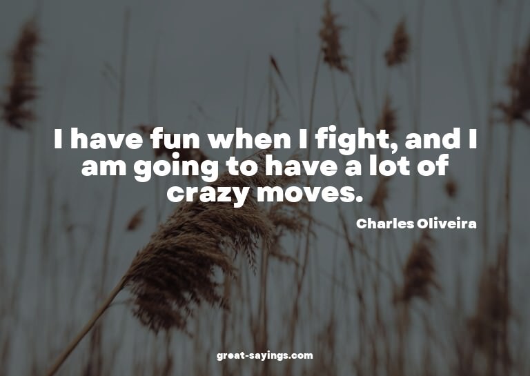 I have fun when I fight, and I am going to have a lot o
