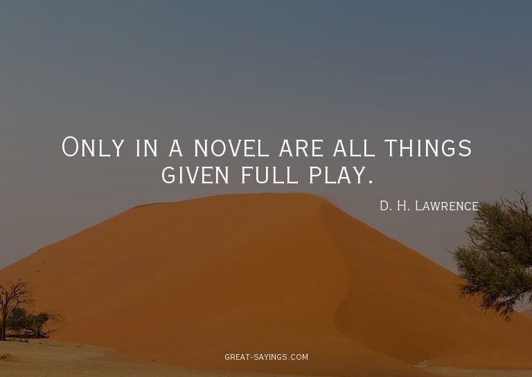 Only in a novel are all things given full play.

