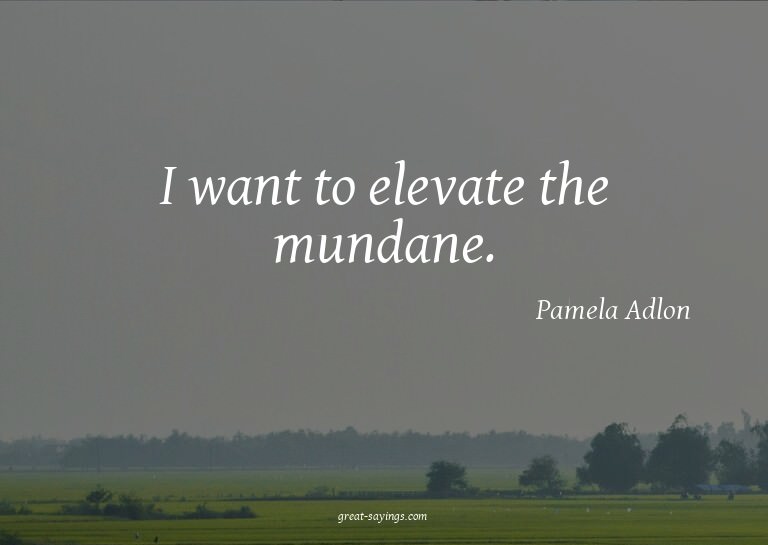 I want to elevate the mundane.

