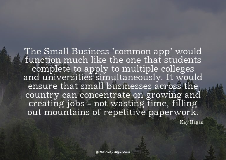 The Small Business 'common app' would function much lik