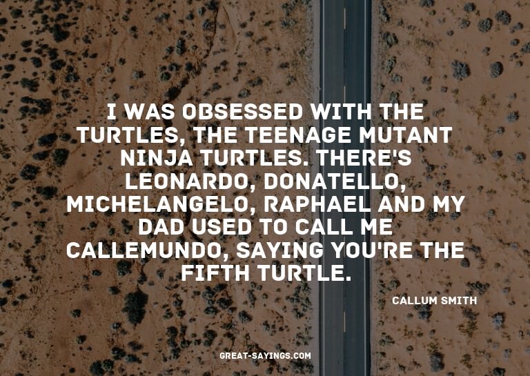 I was obsessed with the Turtles, the Teenage Mutant Nin