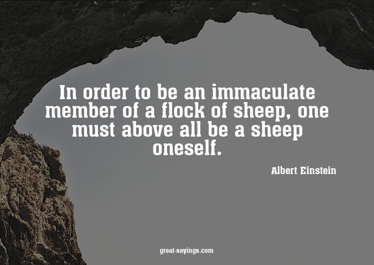 In order to be an immaculate member of a flock of sheep