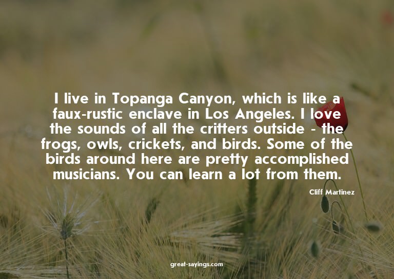 I live in Topanga Canyon, which is like a faux-rustic e