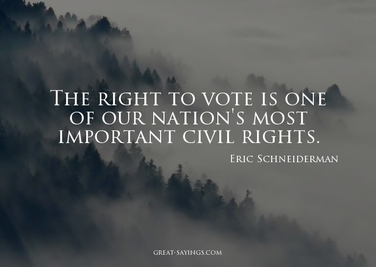 The right to vote is one of our nation's most important