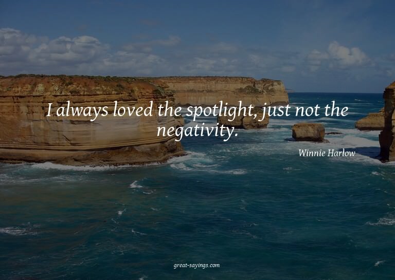 I always loved the spotlight, just not the negativity.

