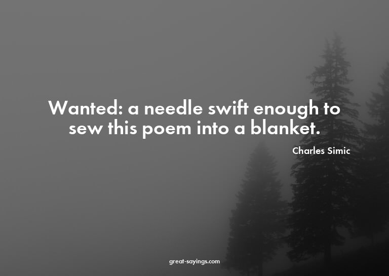 Wanted: a needle swift enough to sew this poem into a b