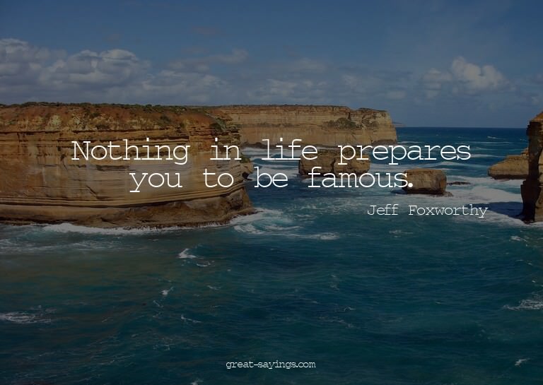 Nothing in life prepares you to be famous.

