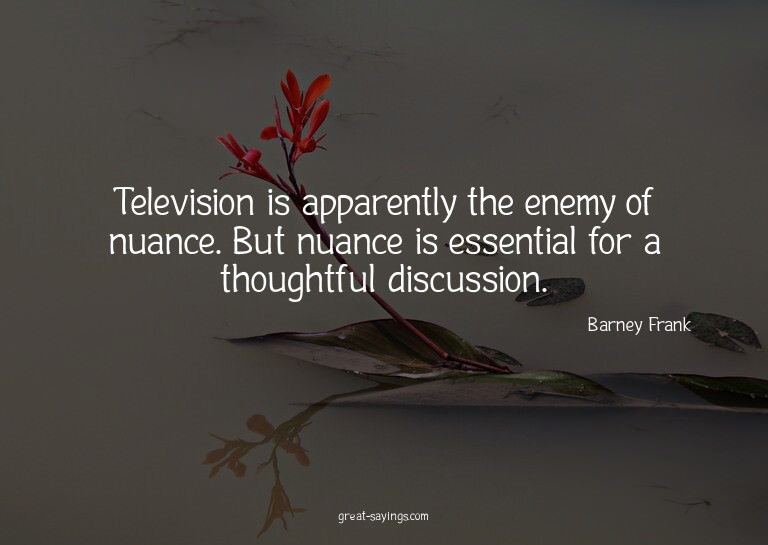 Television is apparently the enemy of nuance. But nuanc