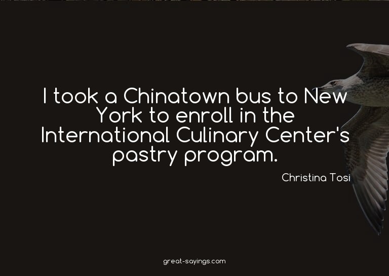 I took a Chinatown bus to New York to enroll in the Int