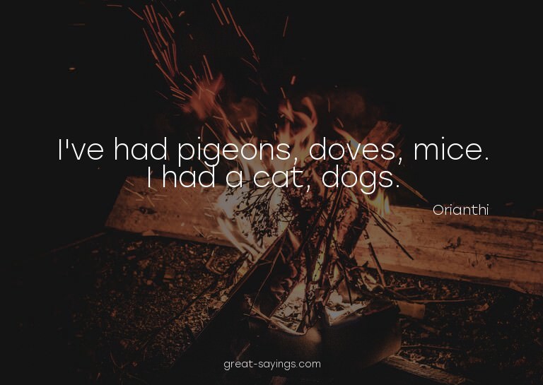 I've had pigeons, doves, mice. I had a cat, dogs.


