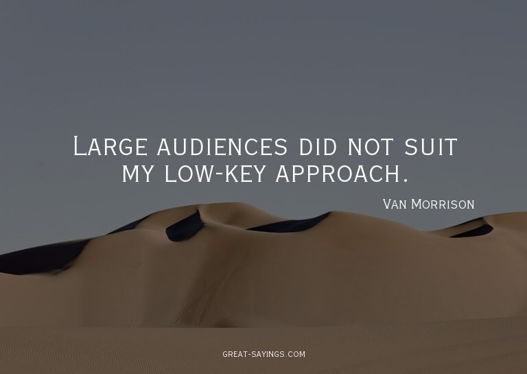 Large audiences did not suit my low-key approach.

