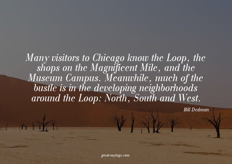 Many visitors to Chicago know the Loop, the shops on th