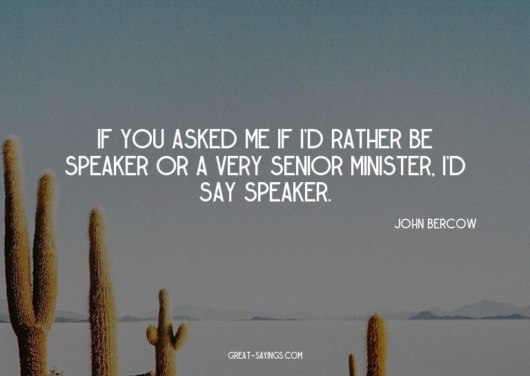 If you asked me if I'd rather be Speaker or a very seni