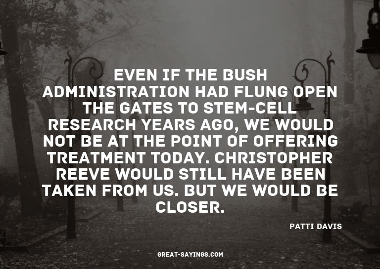 Even if the Bush Administration had flung open the gate