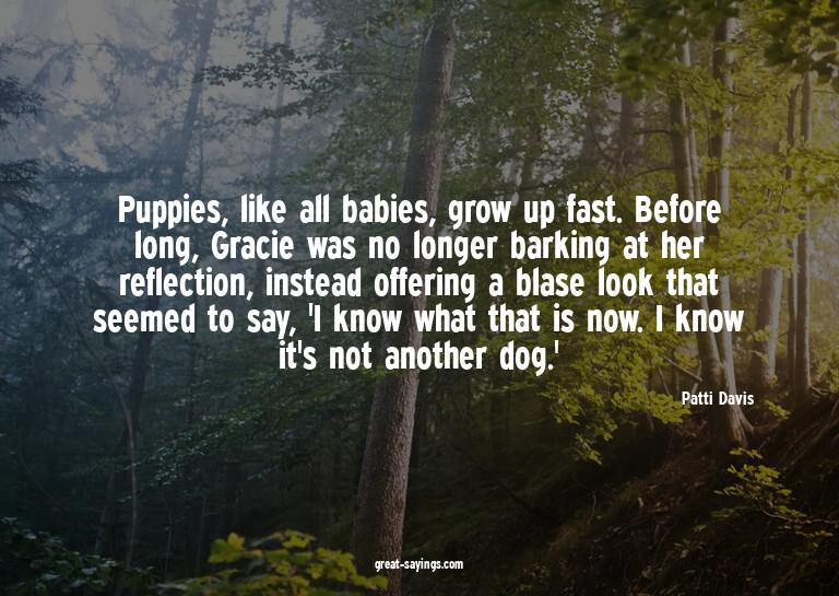 Puppies, like all babies, grow up fast. Before long, Gr
