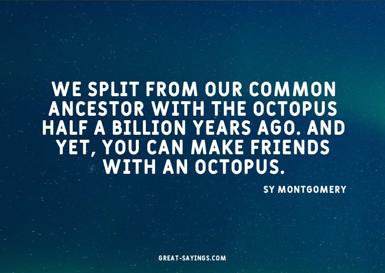 We split from our common ancestor with the octopus half