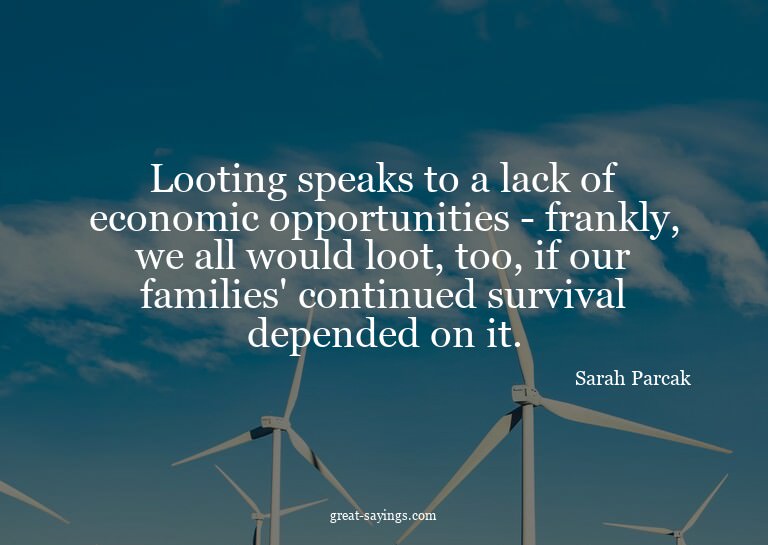 Looting speaks to a lack of economic opportunities - fr