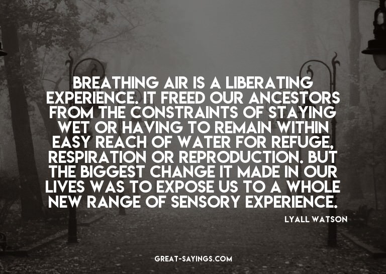 Breathing air is a liberating experience. It freed our