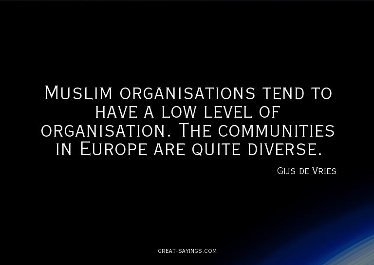 Muslim organisations tend to have a low level of organi