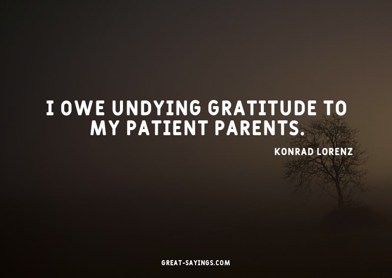 I owe undying gratitude to my patient parents.

