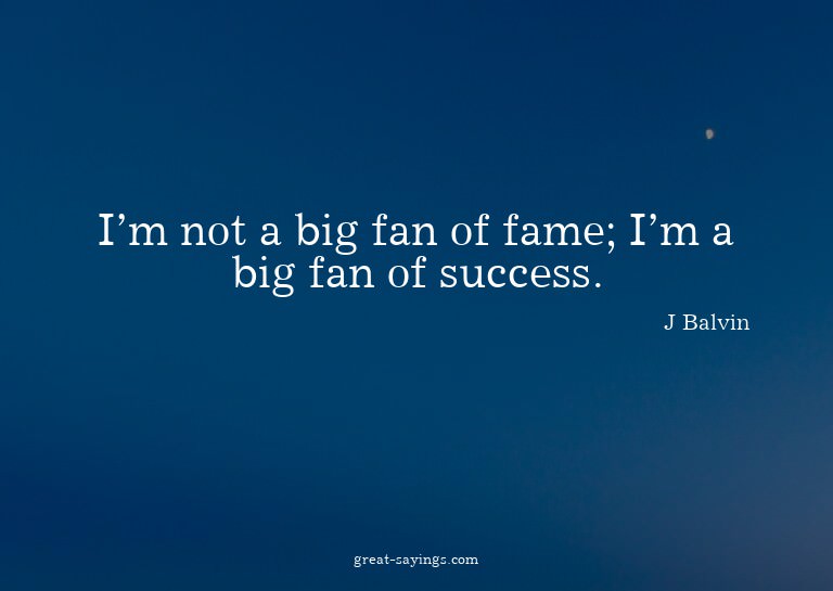 I'm not a big fan of fame; I'm a big fan of success.


