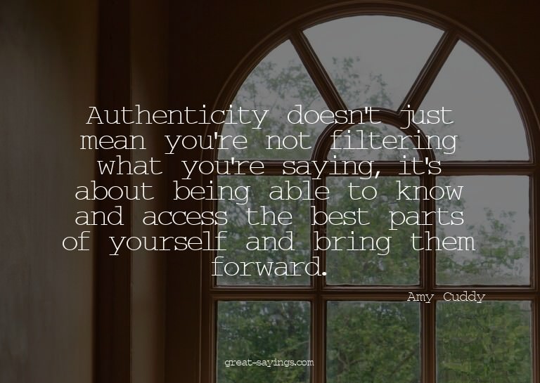 Authenticity doesn't just mean you're not filtering wha