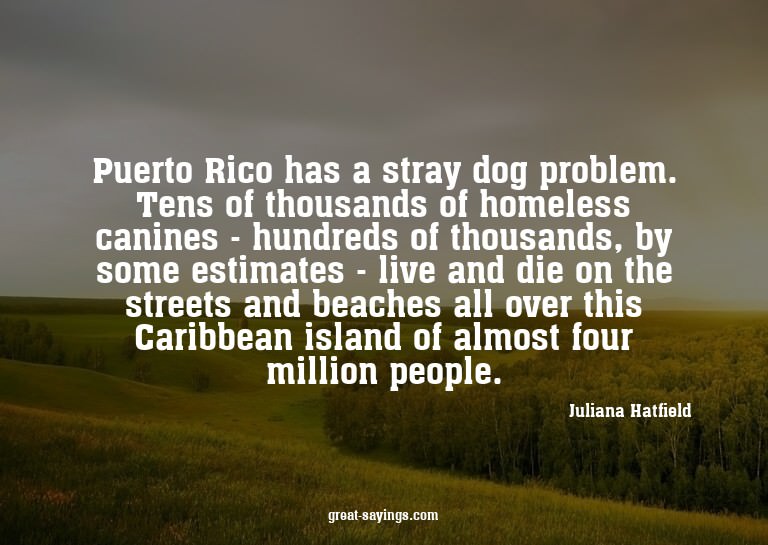 Puerto Rico has a stray dog problem. Tens of thousands