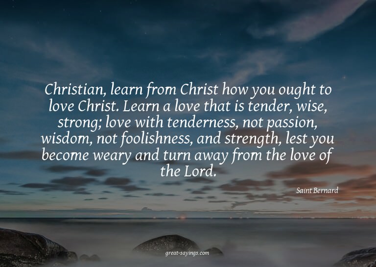 Christian, learn from Christ how you ought to love Chri