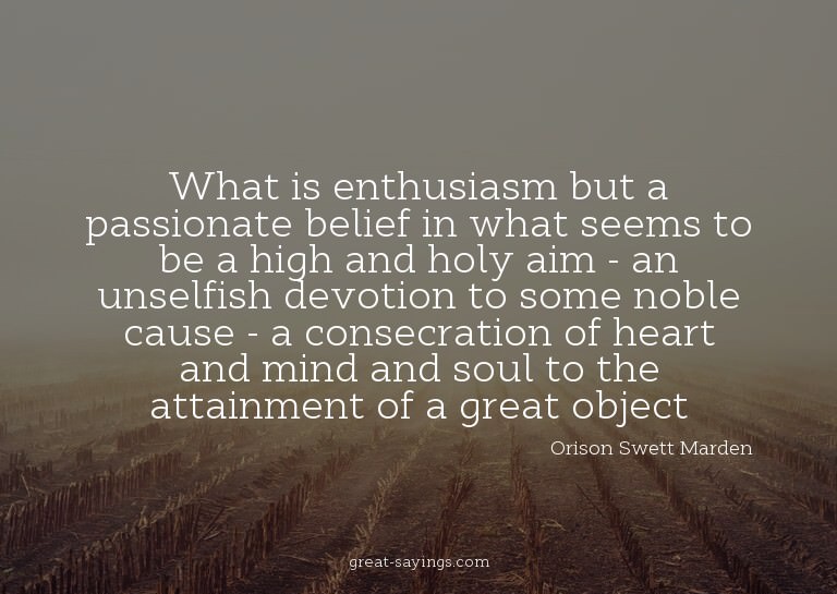 What is enthusiasm but a passionate belief in what seem