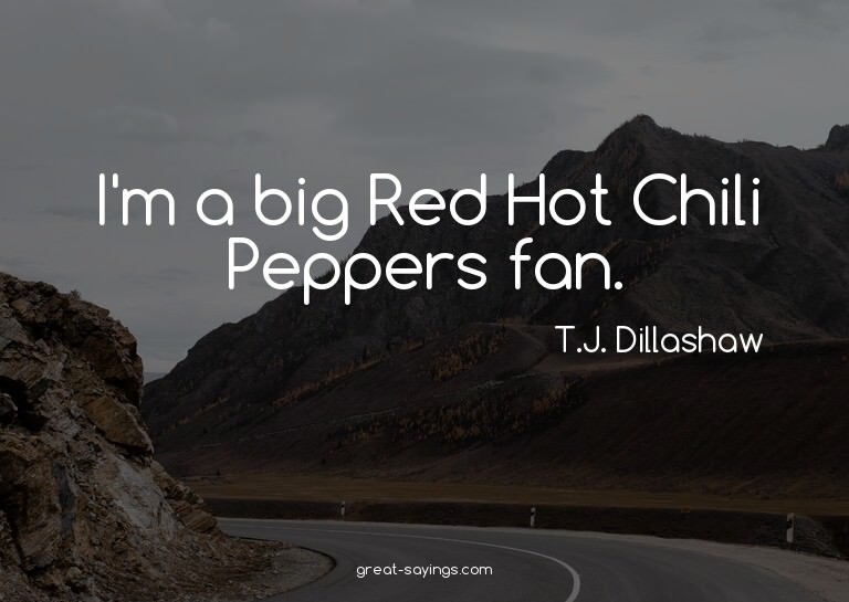 I'm a big Red Hot Chili Peppers fan.


