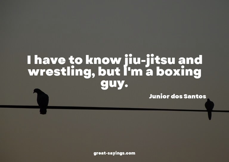 I have to know jiu-jitsu and wrestling, but I'm a boxin