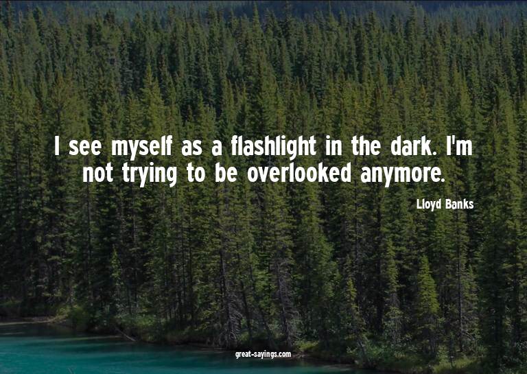 I see myself as a flashlight in the dark. I'm not tryin