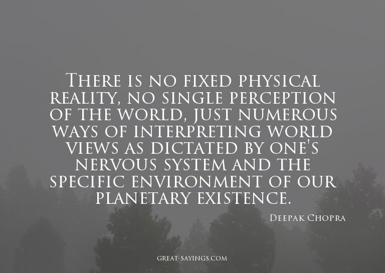 There is no fixed physical reality, no single perceptio