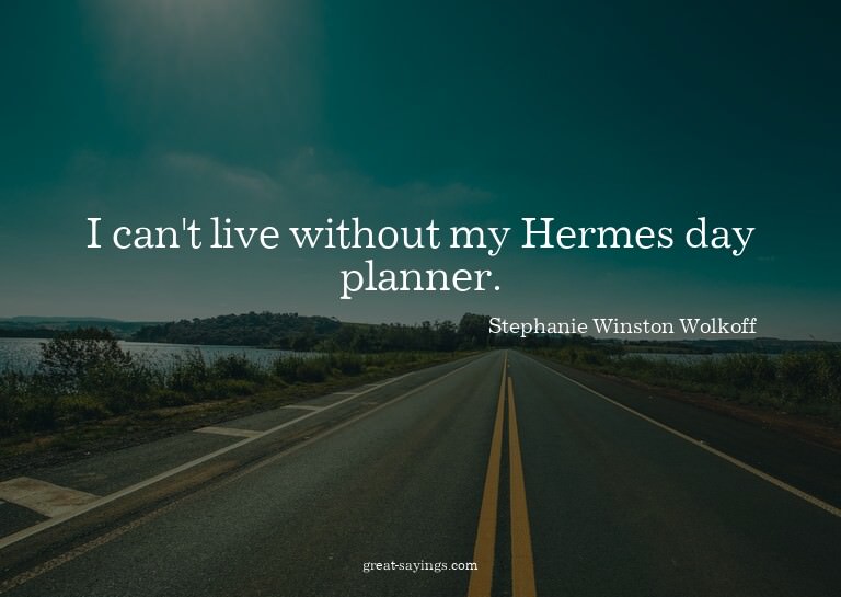 I can't live without my Hermes day planner.

