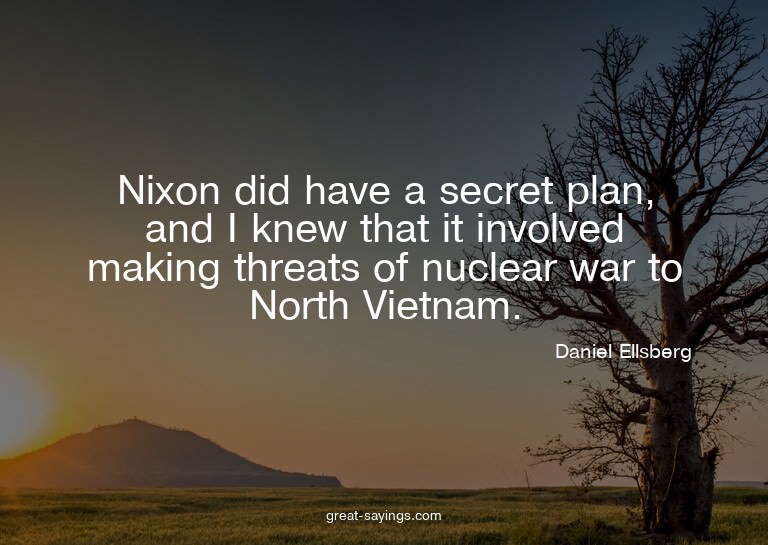Nixon did have a secret plan, and I knew that it involv