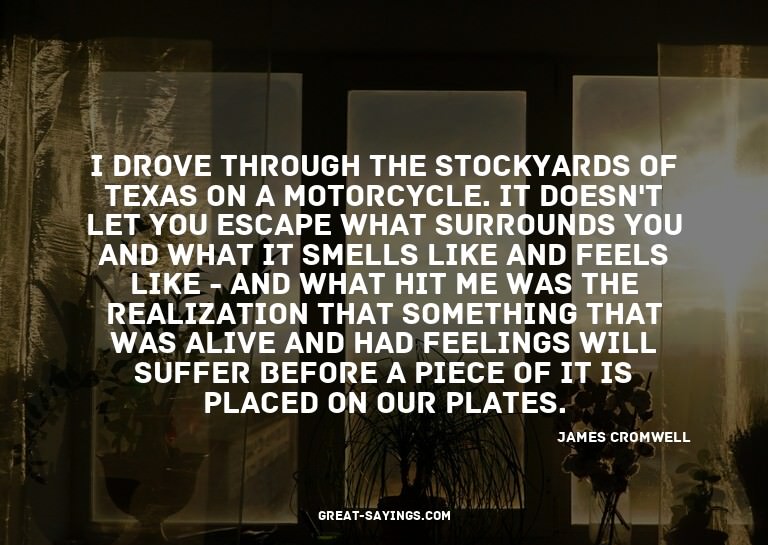 I drove through the stockyards of Texas on a motorcycle