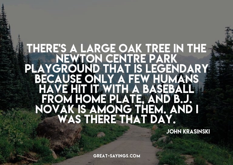 There's a large oak tree in the Newton Centre park play